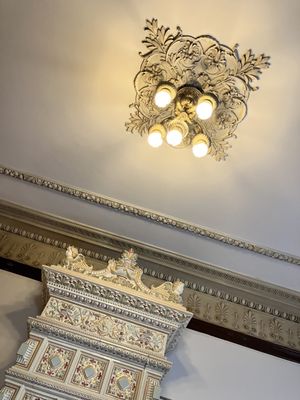 American Swedish Institute by null