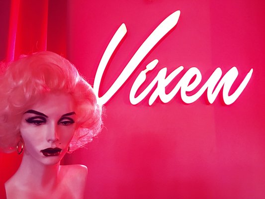VIXEN BY MICHELINE PITT - Updated February 2026 - 145 Photos & 289