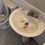 Photo of Roxana’s Cleaning  Service