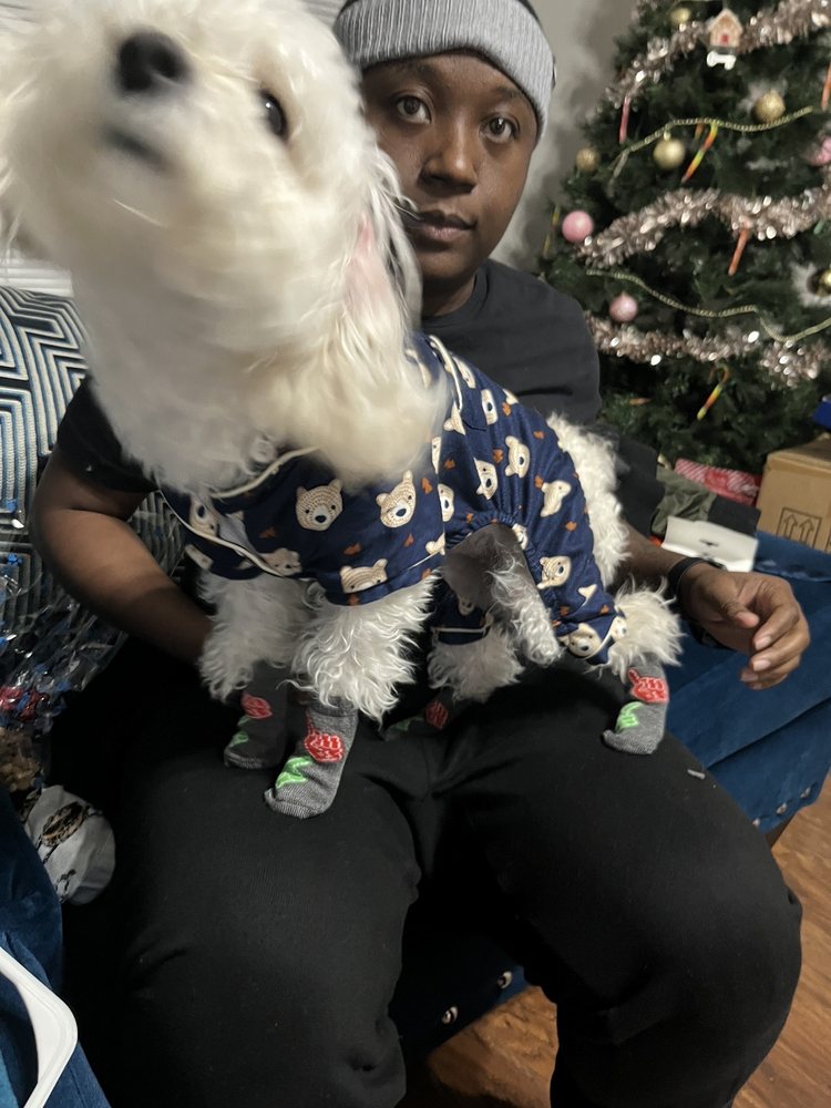 ANIMAL BED & BREAKFAST Updated September 2024 14 Photos & 10