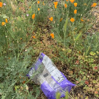 Coyote Creek Trail - good representation of the garbage and the beauty interspersed here - Hiking Near Me - San Jose, California