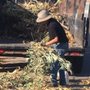 Photo of Marquez and Son's Hauling