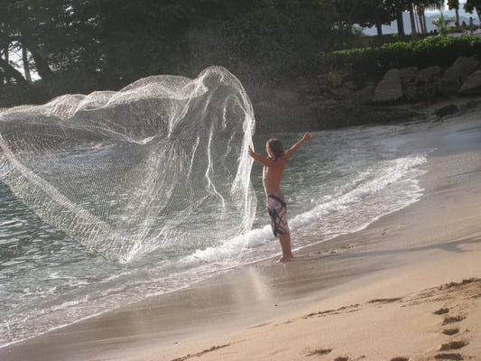 Paradise Cove Luau by null
