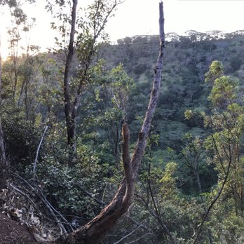 Waimano Loop Trail - Views on views on views - Hiking Near Me - Pearl City, Hawaii