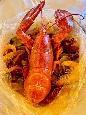 Shell Shock Seafood House by null