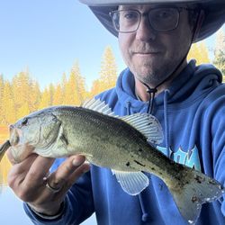 Ebbetts Pass Sporting Goods - Small largie early Saturday morning