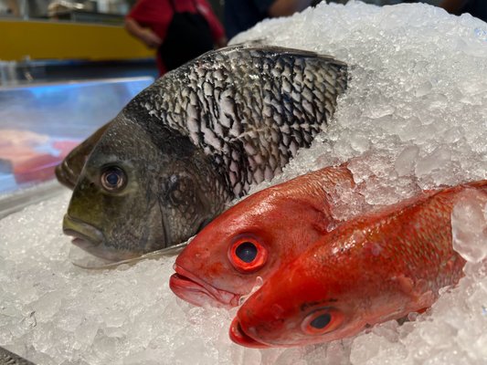 LOCALS SEAFOOD RESTAURANT & MARKET - Updated June 2025 - 41 Photos & 38