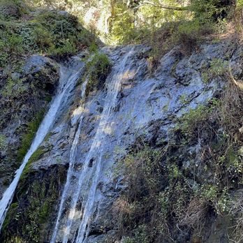 Pfeiffer Big Sur State Park - The falls - looks frozen in this picture but it's not - Parks Near Me Pfeiffer Big Sur State Park - The falls - looks frozen in this picture but it's not - Parks Near Me
