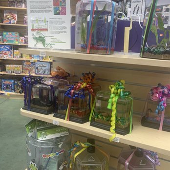 Learning Express Toys - Pet African Dwarf frogs - Toy Stores Near Me - Cary, North Carolina