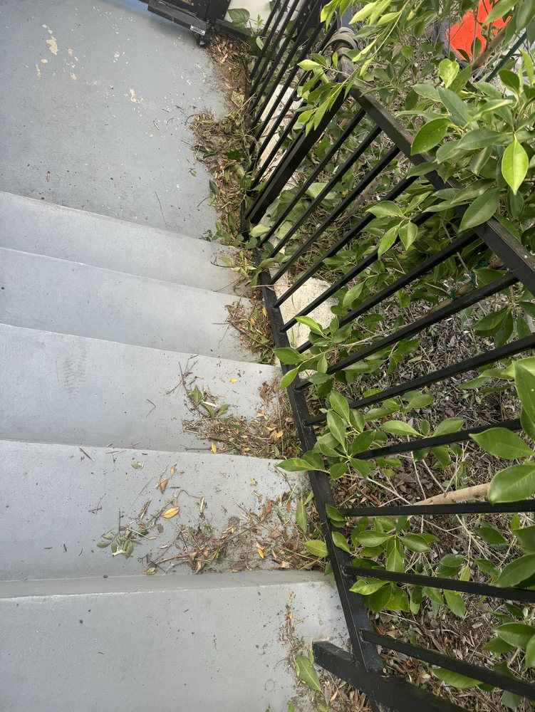 HERNANDEZ LANDSCAPE Updated November 2024 76 Photos & 11 Reviews