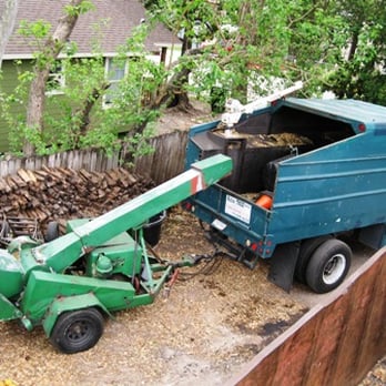 Rufus Tree - Tree Services Near Me - Houston, Texas Rufus Tree - Tree Services Near Me - Houston, Texas