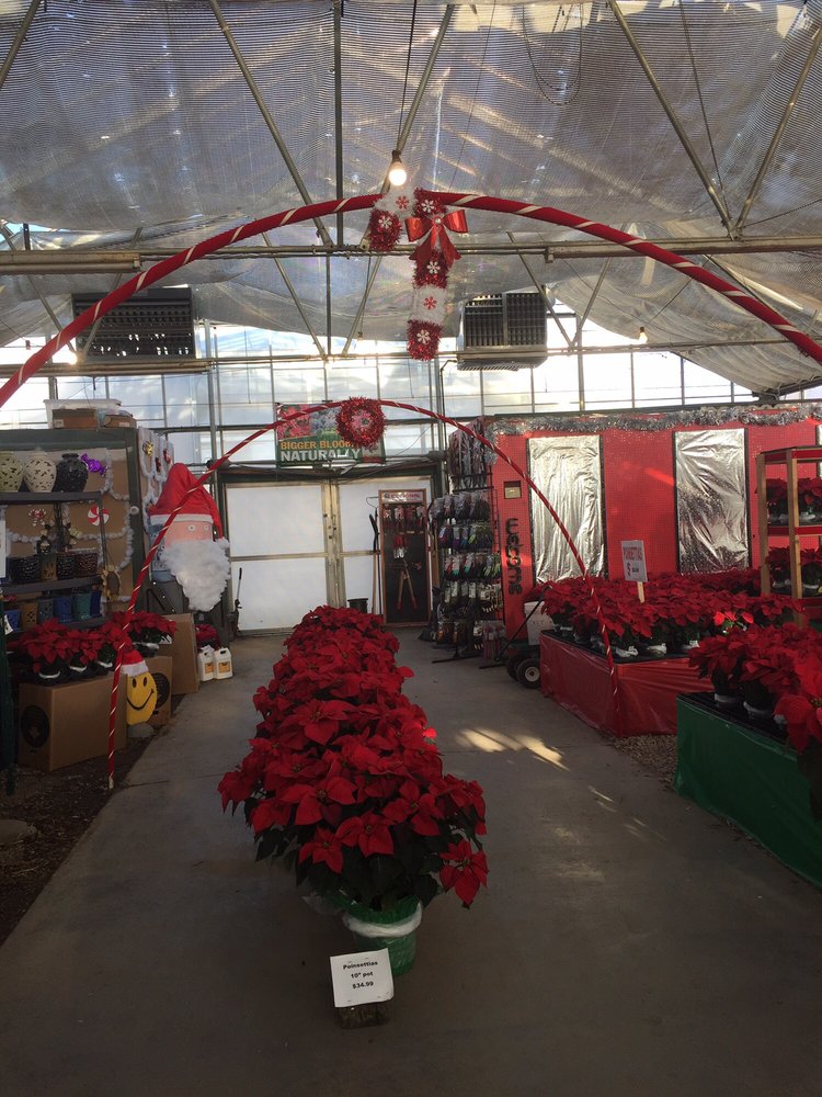 MEADOWS FARMS NURSERIES LEESBURG Updated September 2024 58 Reviews 170 Keystone Ct