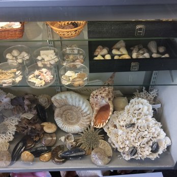 Sea Things - Sea Things Ventura California 500 E Santa Clara St, Ventura, CA 93001 website seathingsventura.com Sea Things was the best beach gift shop. - Gift Shops Near Me - Ventura, California Sea Things - Sea Things Ventura California 500 E Santa Clara St, Ventura, CA 93001 website seathingsventura.com Sea Things was the best beach gift shop. - Gift Shops Near Me - Ventura, California