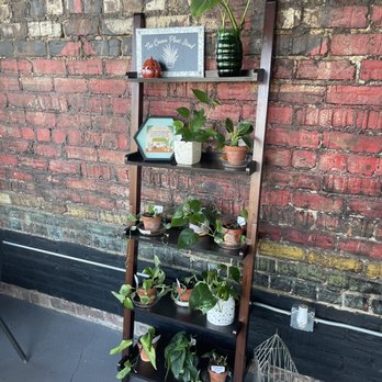 The Corner Patio - a shelf with potted plants - Coffee & Tea Near Me - Pittsburg, Kansas