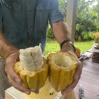 21 Degrees Estate - Michael's nice hands and opened Cacao shell - Tours Near Me - Kaneohe, Hawaii 21 Degrees Estate - Michael's nice hands and opened Cacao shell - Tours Near Me - Kaneohe, Hawaii