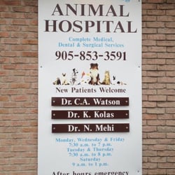 Holland Landing Animal Hospital