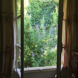 Le Petit Versailles - The gardens are perfect all the way around the building