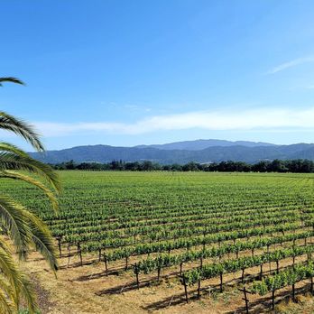 Round Pond Estate Winery - Wineries Near Me - Rutherford, California Round Pond Estate Winery - Wineries Near Me - Rutherford, California