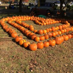 Crane Farm - Fall fun in the labyrinth of pumpkins