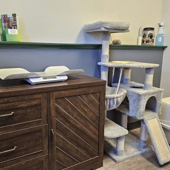 Teller Park Veterinary Service - Veterinarians Near Me - Divide, Colorado