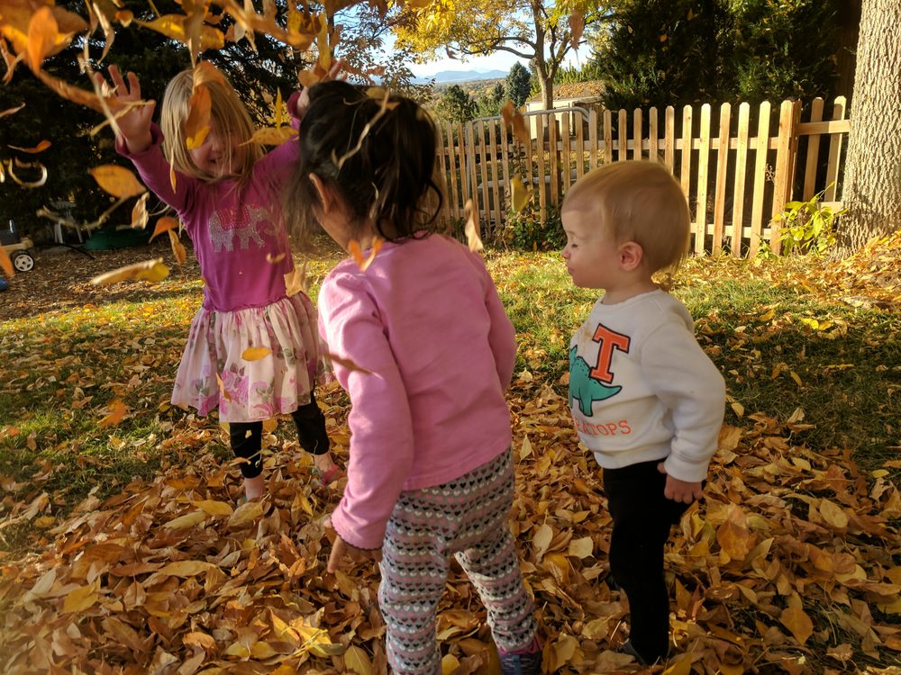 Itty Bitty Daycare - childcare center in Littleton, CO