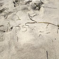 Cupsogue Beach Hut