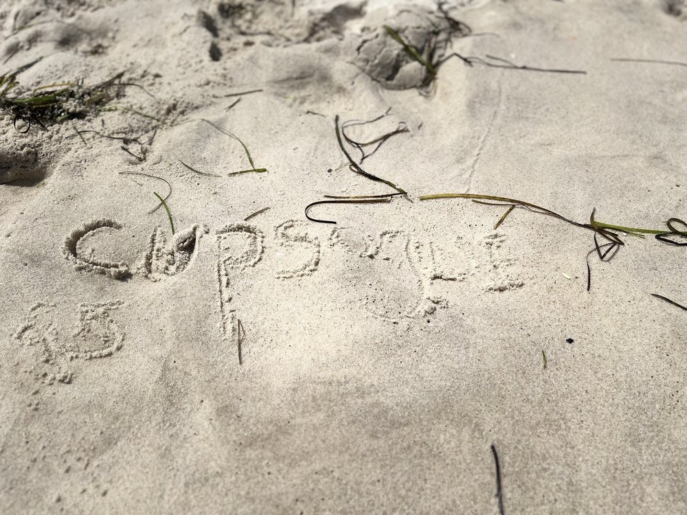 Cupsogue Beach Hut Logo