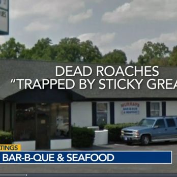 Murray's BBQ & Seafood - dead roachies trapped by stick grease - Southern Near Me - Goldsboro, North Carolina Murray's BBQ & Seafood - dead roachies trapped by stick grease - Southern Near Me - Goldsboro, North Carolina