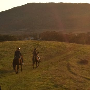 Point Reyes Arabian Adventures - Horseback Riding Near Me - Point Reyes Station, California Point Reyes Arabian Adventures - Horseback Riding Near Me - Point Reyes Station, California