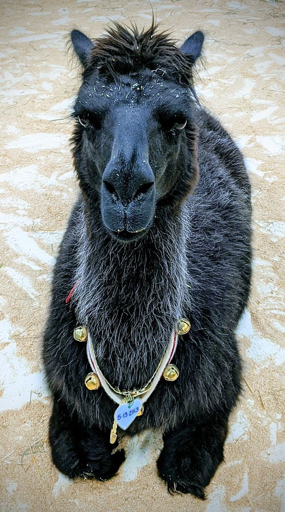 BIG RED’S BARN 56 Photos & 20 Reviews 7397 N Government Way, Coeur