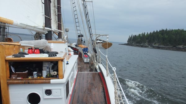 Windjammer Schooner Lewis R. French by null