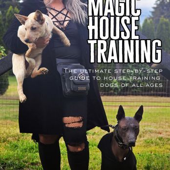 Black Magic Dog Training - Pet Training Near Me Black Magic Dog Training - Pet Training Near Me