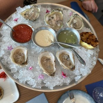 Ocean Seven - Oysters - New American Near Me - Clearwater, Florida Ocean Seven - Oysters - New American Near Me - Clearwater, Florida