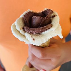 Amorino - Chocolate and vanilla