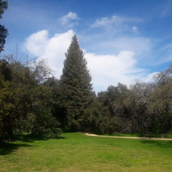 Cornelis Bol Park - Parks Near Me - Palo Alto, California Cornelis Bol Park - Parks Near Me - Palo Alto, California
