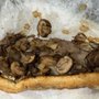 The New Mexico Food Truck
