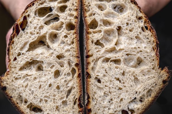 Stevedore Bakery by null