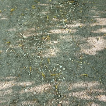CSN Asphalt - Middle of driveway, 3 months later - General Contractors Near Me - Seabrook, New Hampshire CSN Asphalt - Middle of driveway, 3 months later - General Contractors Near Me - Seabrook, New Hampshire