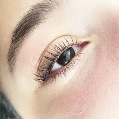 Virtue Lash by null