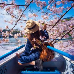 Kerve Cruise & Travel