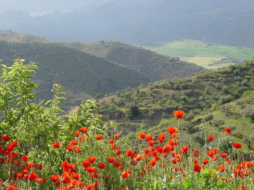 FOUNTAINHEAD RETREAT HOTEL Partido del Rio el Terral,, Riogordo