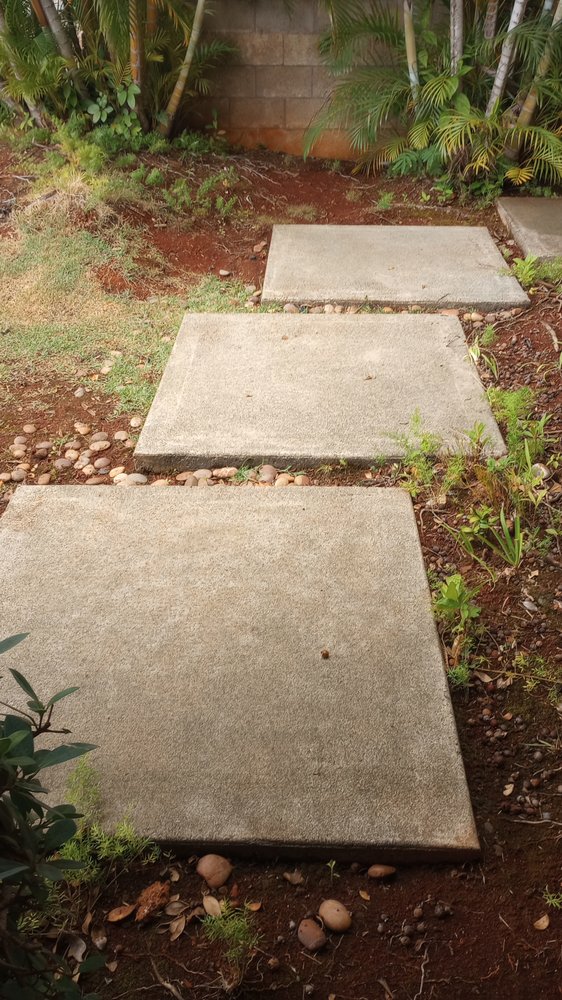 Slide of Papaya Powerwashing