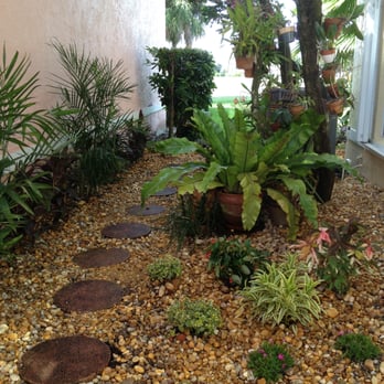 Integrated Landscaping - The shady side of my house. - Landscaping Near Me - Pompano Beach, Florida Integrated Landscaping - The shady side of my house. - Landscaping Near Me - Pompano Beach, Florida