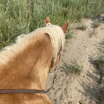 12 Mile Stables - On the trail - Horseback Riding Near Me - Aurora, Colorado