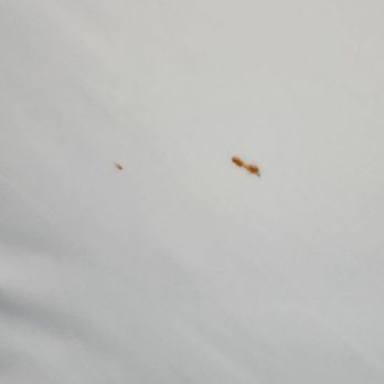 The Royal Napanee Inn - A red stain on the sheets. - Hotels Near Me - Napanee, Ontario