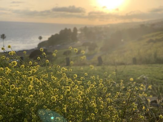Korean Friendship Bell by null