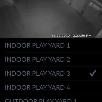 Camp Bow Wow Commerce Township - Here's proof that their cameras are running even while closed and what time the dogs got let out after being locked up since 11am. - Pet Sitting Near Me - Commerce Township, Michigan Camp Bow Wow Commerce Township - Here's proof that their cameras are running even while closed and what time the dogs got let out after being locked up since 11am. - Pet Sitting Near Me - Commerce Township, Michigan