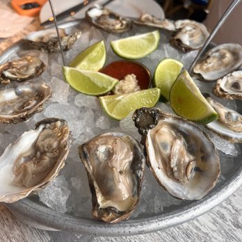 Casablanca - Oysters - Seafood Near Me - Miami, Florida Casablanca - Oysters - Seafood Near Me - Miami, Florida