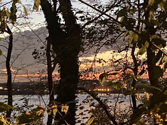 Shore Road Park by null