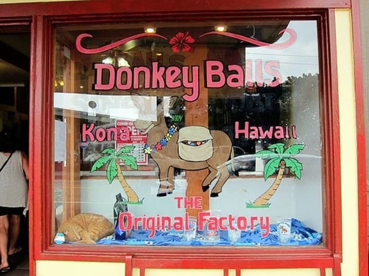The Original Donkey Ball Store by null